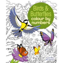 Birds & Butterflies Colour by Numbers
