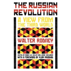 The The Russian Revolution: A View from the Third World
