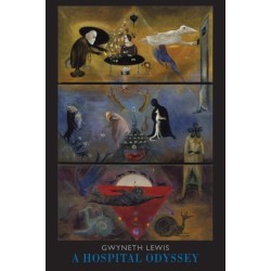 A Hospital Odyssey