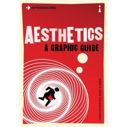Introducing Aesthetics: A Graphic Guide