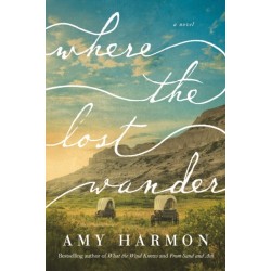 Where the Lost Wander: A Novel