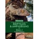 A Naturalist's Guide to the Reptiles & Amphibians of Bali (2nd edition)