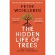 The Hidden Life of Trees: What They Feel, How They Communicate