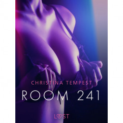 Room 241 - Erotic Short Story