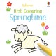 First Colouring Springtime