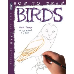 How To Draw Birds