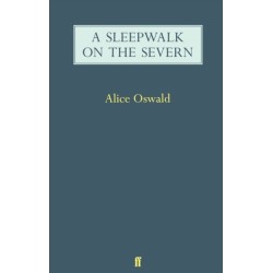 A Sleepwalk on the Severn