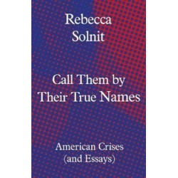 Call Them by Their True Names: American Crises (and Essays)