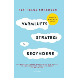 Varmluftsstrategi for begyndere: Hvorfor topchefer blander sig for meget og medarbejdere skal blive bedre til at sige nej