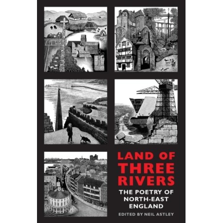 Land of Three Rivers: The Poetry of North-East England