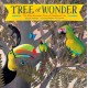 Tree of Wonder: The Many Marvelous Lives of a Rainforest Tree