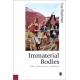 Immaterial Bodies: Affect, Embodiment, Mediation