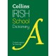 Irish School Dictionary: Trusted Support for Learning