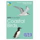 RSPB ID Spotlight - Coastal Birds