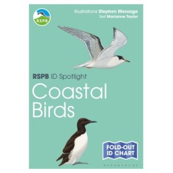 RSPB ID Spotlight - Coastal Birds