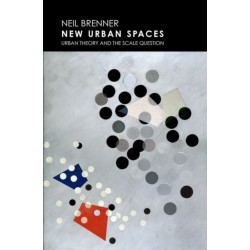 New Urban Spaces: Urban Theory and the Scale Question