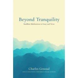 Beyond Tranquility: Buddhist Meditations in Essay and Verse