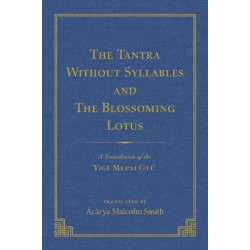 The Tantra Without Syllables (Volume 3) and The Blazing Lamp Tantra (Volume 4): A Translation of the Yige Mepai Gyu (Vol. 3) A Translation of the Dronma Barwai Gyu and Mutik Trengwa Gyupa (Vol 4)