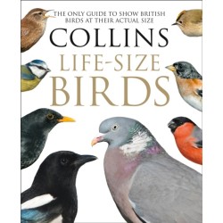 Collins Life-Size Birds: The Only Guide to Show British Birds at Their Actual Size