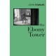 The Ebony Tower