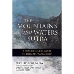 The Mountains and Waters Sutra: A  Practitioner's Guide to Dogen's Sansuikyo