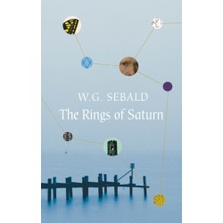 The Rings of Saturn