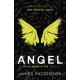 Angel: A Maximum Ride Novel: (Maximum Ride 7)