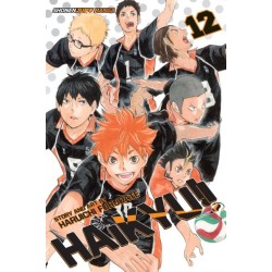 Haikyu!!, Vol. 12: The Tournament Begins!