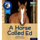 Hero Academy Non-fiction: Oxford Level 6, Orange Book Band: A Horse Called Ed