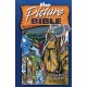 The Picture Bible