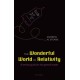 The Wonderful World of Relativity: A precise guide for the general reader