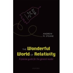 The Wonderful World of Relativity: A precise guide for the general reader
