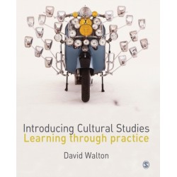 Introducing Cultural Studies: Learning through Practice