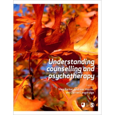 Understanding Counselling and Psychotherapy