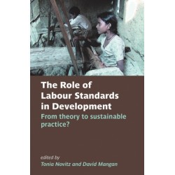 The Role of Labour Standards in Development: From theory to sustainable practice