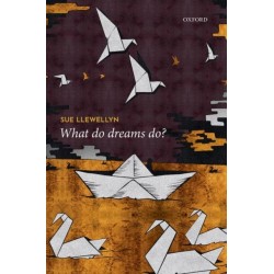 What Do Dreams Do?