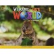 Welcome to Our World 1: Activity Book