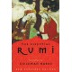 The Essential Rumi Revised: A Poetry Anthology