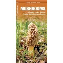 Mushrooms: A Folding Pocket Guide to Familiar North American Species