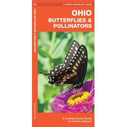 Ohio Butterflies & Pollinators: A Folding Pocket Guide to Familiar Species