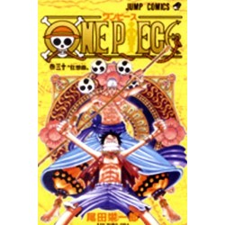One Piece, Vol. 30