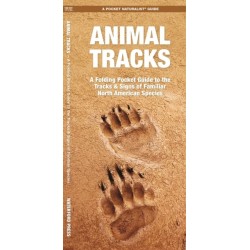 Animal Tracks: A Folding Pocket Guide to the Tracks & Signs of Familiar North American Species