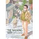 The Walking Man: And Other Perambulations