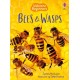 Bees and Wasps