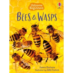 Bees and Wasps
