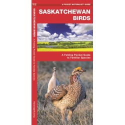 Saskatchewan Birds: A Folding Pocket Guide to Familiar Species