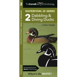 The Cornell Lab of Ornithology Waterfowl ID 2 Dabbling & Diving Ducks