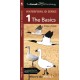 The Cornell Lab of Ornithology Waterfowl ID 1 The Basics