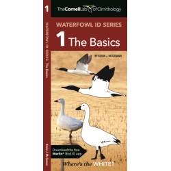 The Cornell Lab of Ornithology Waterfowl ID 1 The Basics