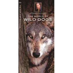 The World of Wild Dogs